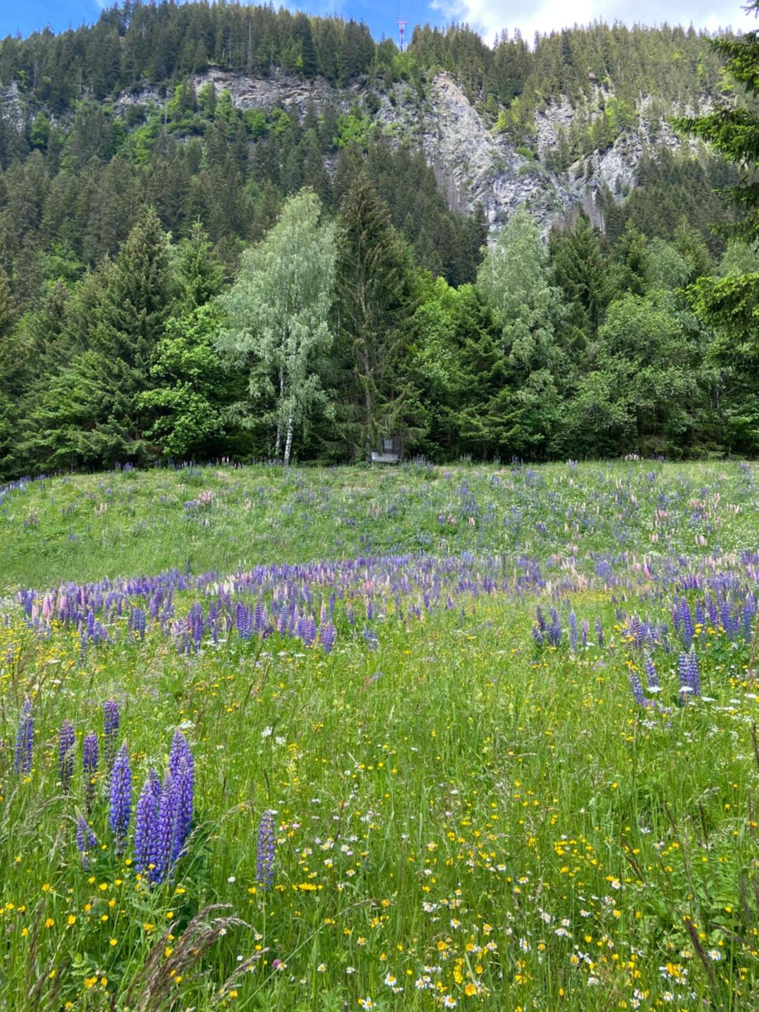Haus Am Rain Bed & Breakfast Partenen Exterior photo