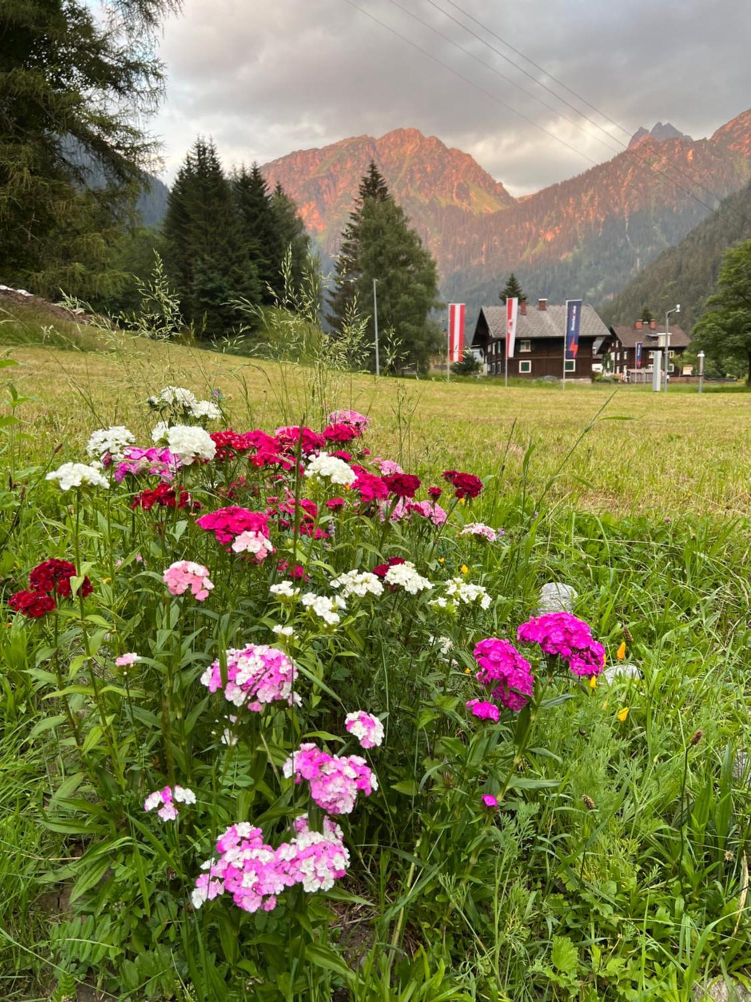 Haus Am Rain Bed & Breakfast Partenen Exterior photo